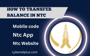 How to transfer balance in ntc